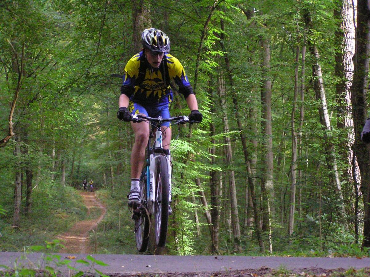 Millygite Roulotte - 4 Seasons Chalet-On-Wheels Esterno foto